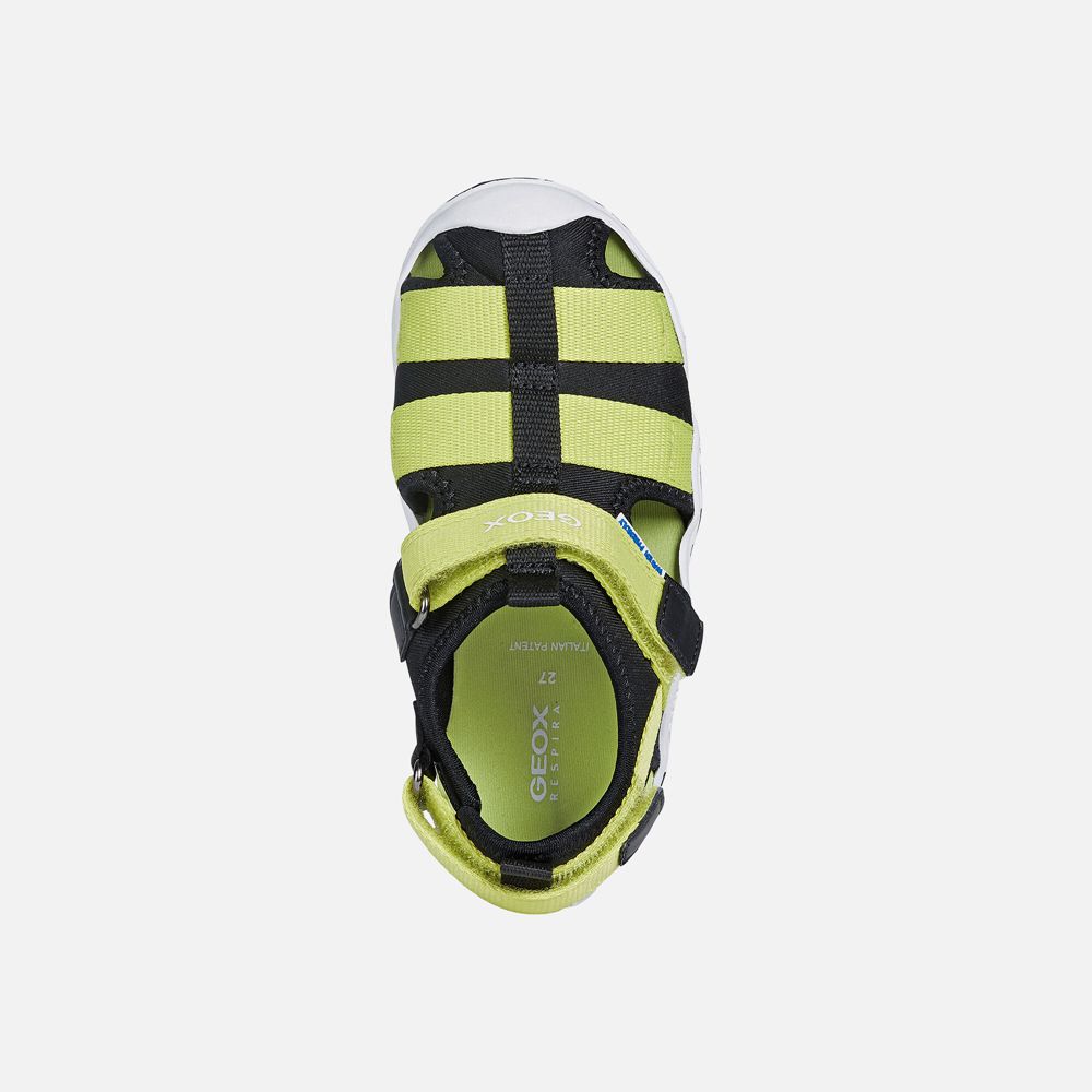 Sandalias Geox Menino Pretas/Verdes - Wader - DYALK4753